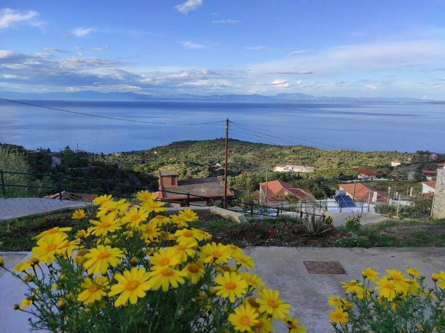 לאונידיון Κατοικία Πανόραμα, Πραγματευτή Λεωνιδίου, Τ.Κ.22300 מראה חיצוני תמונה