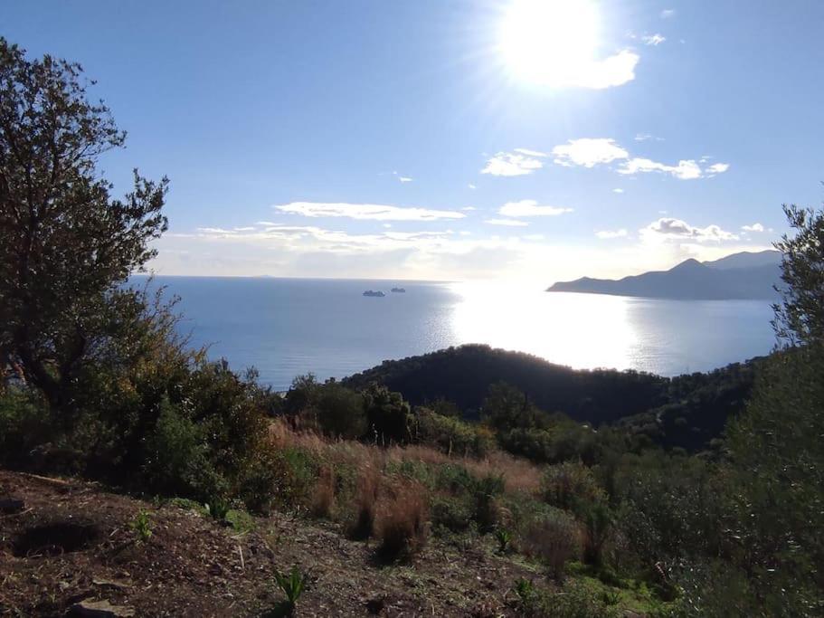 לאונידיון Κατοικία Πανόραμα, Πραγματευτή Λεωνιδίου, Τ.Κ.22300 מראה חיצוני תמונה